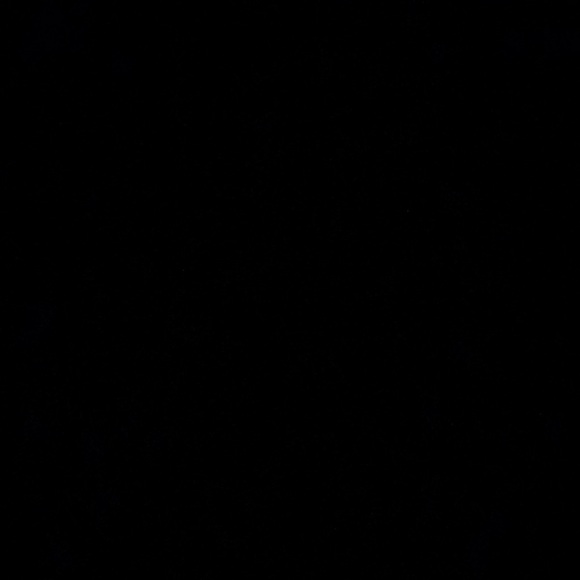 Gucci Cream Cotton Tote bag - Picture 4 of 4